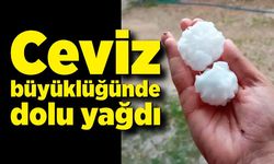 Ceviz büyüklüğünde dolu yağdı; Köylüler şaşkına döndü