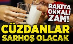 Cüzdanlar sarhoş olacak:  Rakıya okkalı zam