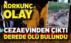 Cezaevi firarisi derede ölü bulundu