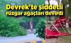 Devrek'te şiddetli rüzgar ağaçları devirdi