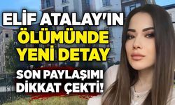 Elif Atalay'ın ölümünde yeni detay: Son paylaşımı dikkat çekti