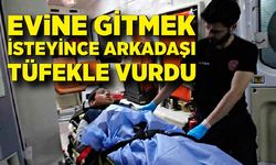 15 yaşındaki çocuk, 12 yaşındaki arkadaşını havalı tüfekle vurdu