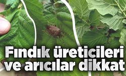 Fındık üreticileri ve arıcılar dikkat