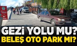 Gezi yolu mu? Beleş oto park mı?