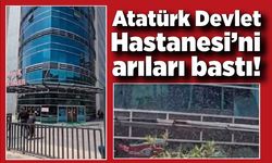 Zonguldak Atatürk Devlet Hastanesi’ni arıları bastı!