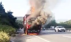 Hayvan yüklü kamyon alevlere teslim oldu