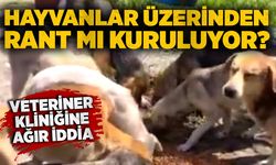 Hayvanlar üzerinden rant mı kuruluyor? Veteriner kliniğine ağır iddia