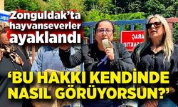 Hayvanseverler ayaklandı: “Bu hakkı kendinde nasıl görüyorsun?”