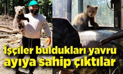 İşçiler buldukları yavru ayıya sahip çıktılar