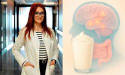 Kefir, bağırsak iltihaplanmasını baskılayarak nöroinflamasyonun azaltılmasına katkı sağlayabilir
