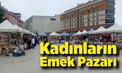 Kadınların Emek Pazarı