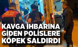Kavga ihbarına giden polislere köpek saldırdı: 2 yaralı