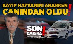 Kayıp hayvanını ararken canından oldu