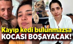 Kayıp kedi bulunmazsa kocası boşayacak