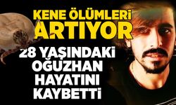 Kene ölümleri artıyor: 28 yaşındaki Oğuzhan hayatını kaybetti
