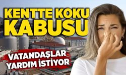Kentte koku kabusu: Vatandaşlar yardım istiyor