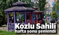 Kozlu Sahili hafta sonu şenlendi: Güneşli havada piknik neşesi