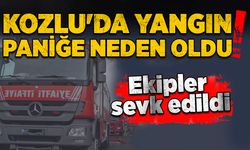 Kozlu'da yangın paniğe neden oldu