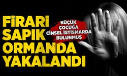 Küçük çocuğa cinsel istismarda bulunan şahıs ormanda yakalandı