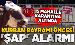 Kurban Bayramı öncesi 'şap' alarmı: 15 mahalle karantina altında