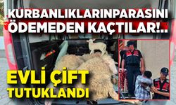 Kurbanlıkların parasını ödemeden kaçan evli çift tutuklandı