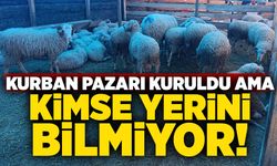 Kurban pazarı kuruldu ama kimse yerini bilmiyor!