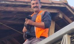 Kastamonu’da evin çatısında mahsur kalan kediyi itfaiye ekipleri kurtardı