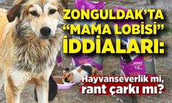 Zonguldak’ta “Mama Lobisi” iddiaları: Hayvanseverlik mi, rant çarkı mı?