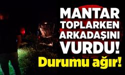 Mantar toplarken yabani hayvan sandığı arkadaşını av tüfeğiyle vurdu
