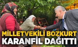 Milletvekili Bozkurt, pazarları ziyaret ederek karanfil dağıttı