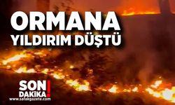 Ormanlık alana düşen yıldırım yangına neden oldu