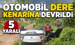 Otomobil dere kenarına devrildi: 5 yaralı