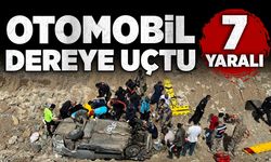 Otomobil dereye uçtu: 7 yaralı
