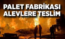 Palet fabrikası alevlere teslim oldu