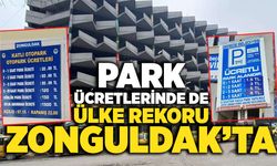Park ücretlerinde de ülke rekoru Zonguldak’ta