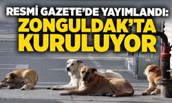 Resmi Gazete’de yayımlandı: Zonguldak’ta kuruluyor
