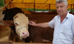 Kurban pazarı yüzleri güldürdü: "Hayvanların çoğunu sattık"