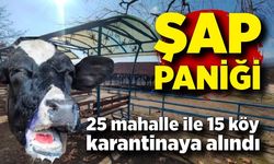 Şap paniği! 25 mahalle ile 15 köy karantinaya alındı
