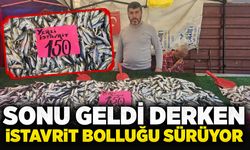 Sonu geldi derken İstavrit  bolluğu sürüyor