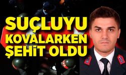 Kahreden haber!  Suçluyu kovalarken şehit oldu