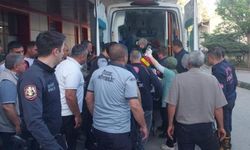 Sulama kanalı düşen çocuğu annesi kurtardı