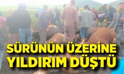 Sürünün üzerine yıldırım düştü: 2 çoban yaralandı, 10 hayvan telef oldu