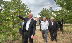 TZOB Genel Başkanı Bayraktar, Bolu'da