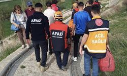 Van Kalesi'nden düşen yaşlı kadın kurtarıldı