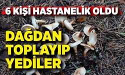 Topladıkları yabani mantarları yiyen 6 kişi hastanelik oldu