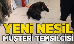 Yeni nesil müşteri temsilcisi