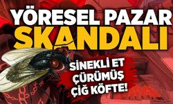 Yöresel pazar skandalı: Sinekli et, çürümüş çiğ köfte!