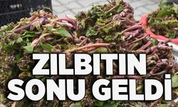 Zılbıtın sonu geldi