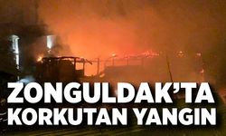 Zonguldak'ta ikamet yangınında ev küle döndü
