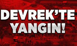 Devrek'te yangın! Alevler içinde kaldı